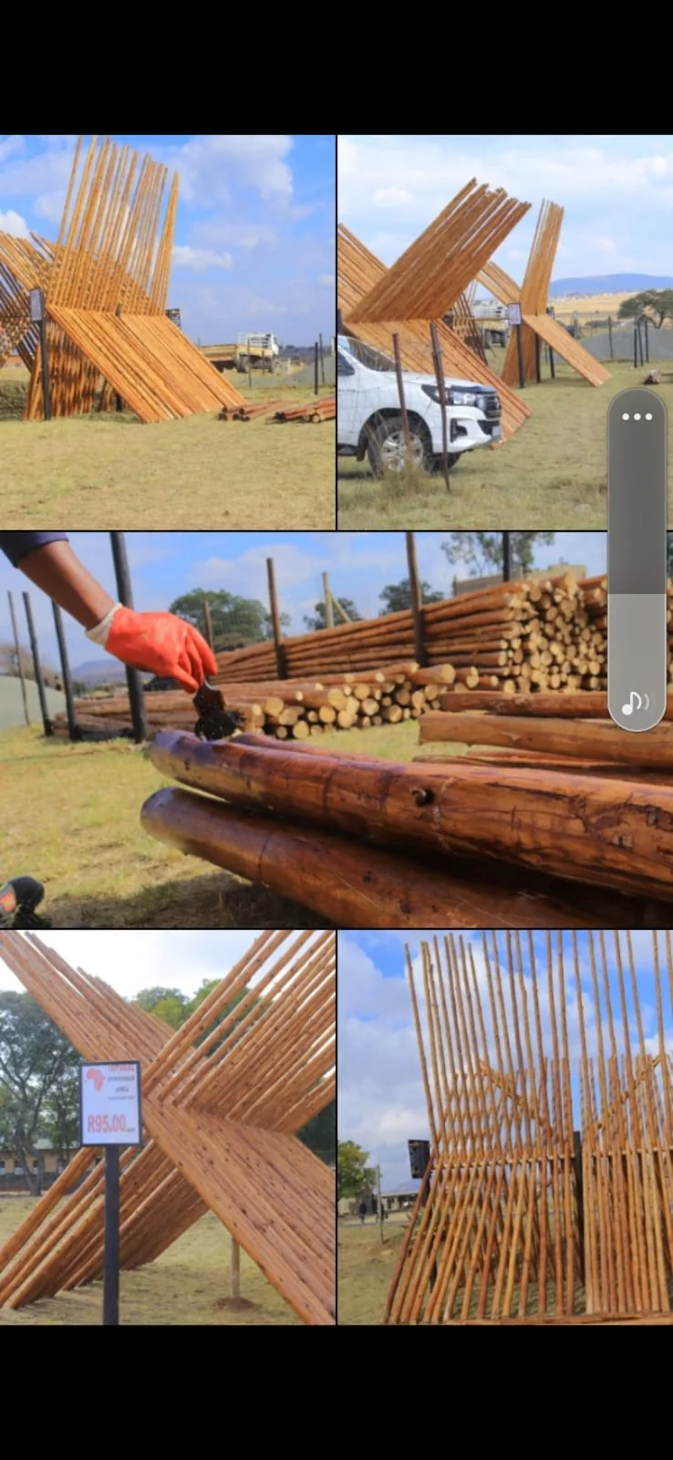 Treated Gum Poles (Standard)